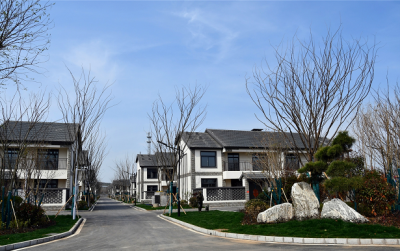 大李庄村集中居住区建设工程